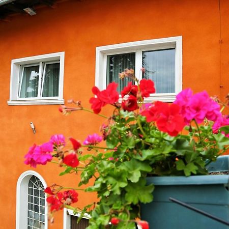 Gosciniec Glucholazy Zdroj Exterior foto